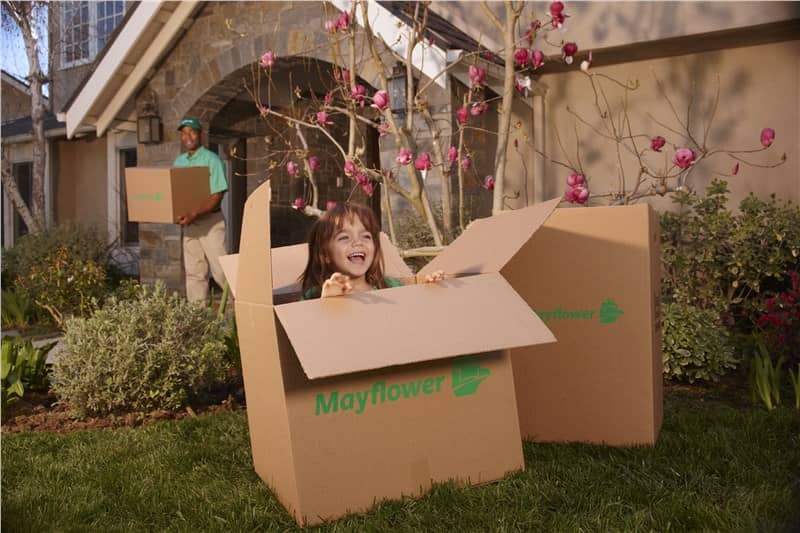 Mayflower Boxes